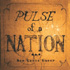 BEN LEVIN GROUP Releases PULSE OF A NATION